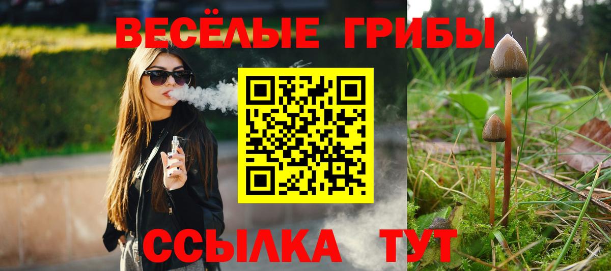 Псилоцибиновые грибы Cubensis Отрадный