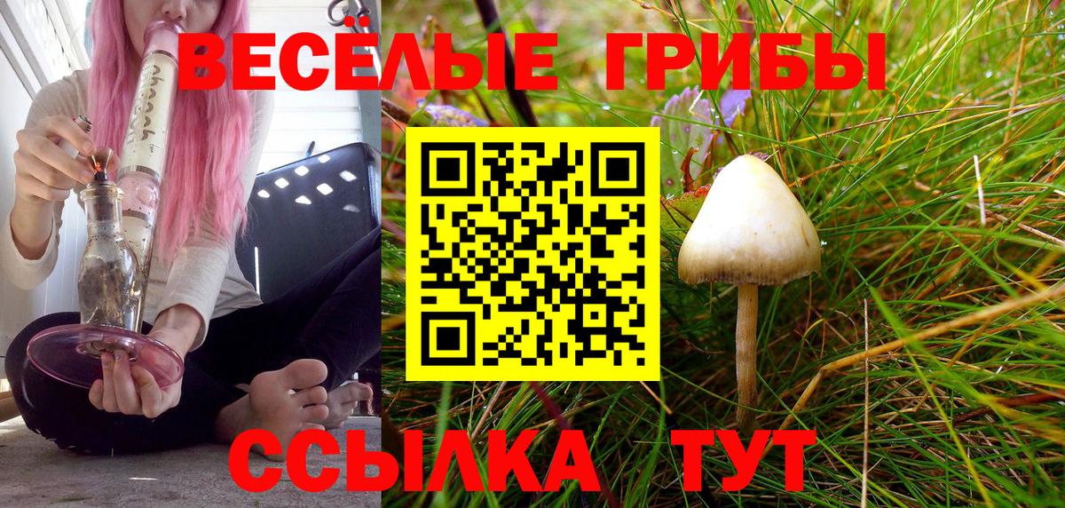 Отрадный  Галлюциногенные грибы мухоморы  купить закладку  Вход с VPN 